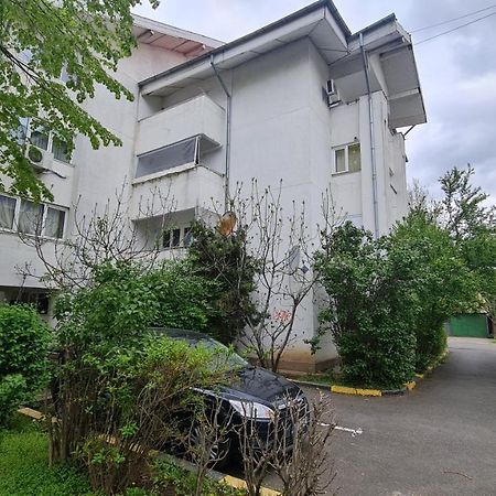 Vs Central Apartment Otopeni Buitenkant foto