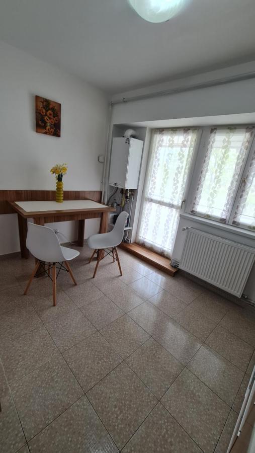 Vs Central Apartment Otopeni Buitenkant foto